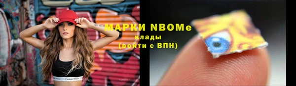 дживик Белокуриха