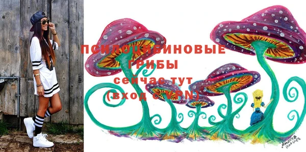 mdpv Беломорск