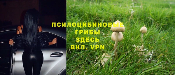 дживик Белокуриха