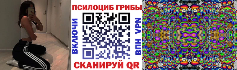 Псилоцибиновые грибы Psilocybine cubensis  Минеральные Воды 