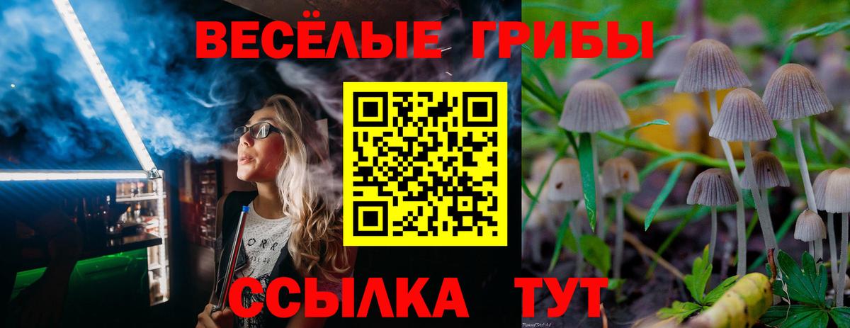 Псилоцибиновые грибы Psilocybe  наркотики  Минеральные Воды  Вход с VPN 