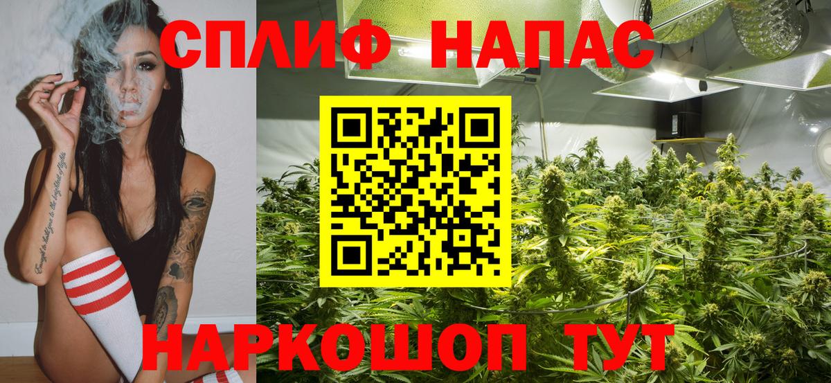 Шишки марихуана семена Минеральные Воды